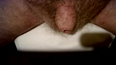 peterpeteropoulos online show from October 2025 08:20:02 PM