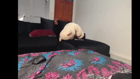 Snapshot of petitebony2478 chatting on November 2025 04:00:01 AM ebonyshawtypetit online show from November 2025 04:00:01 AM