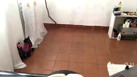 Snapshot of petitecurlybrunette chatting on April 2026 04:36:02 PM Mlian online show from April 2026 04:36:02 PM