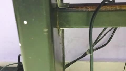 danna online show from December 2024 01:40:02 AM