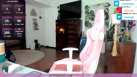 petitesage online show from December 2024 11:53:01 PM