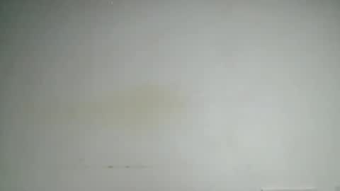 petitgirl88 online show from June 2026 05:39:02 AM