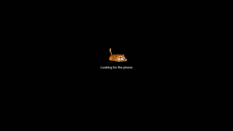 petrli online show from April 2026 07:34:01 AM