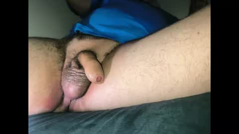 petrli online show from July 2026 04:33:02 PM
