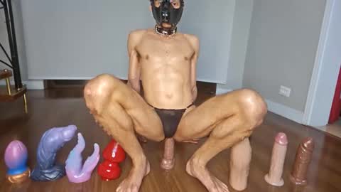 petsexboy online show from June 2026 01:28:02 AM