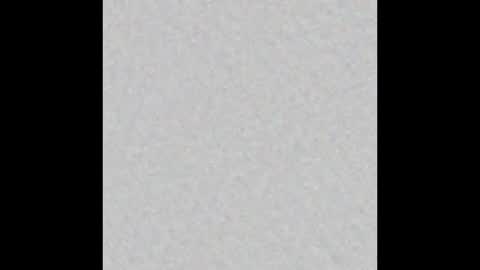 peytonn_monroe online show from October 2025 11:30:02 AM