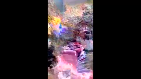 pezzabigcock online show from February 2026 07:27:01 AM