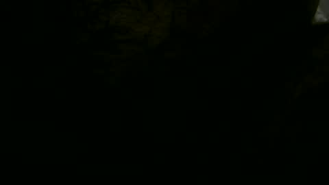 Snapshot of pglsmm chatting on January 2025 01:32:01 AM pgls online show from January 2025 01:32:01 AM