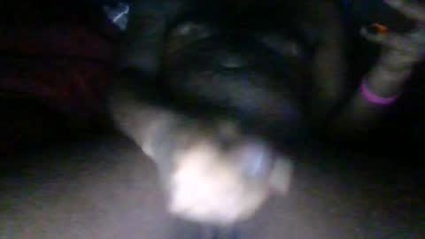 Snapshot of phantomb100 chatting on October 2025 05:04:02 AM Phantomblaze online show from October 2025 05:04:02 AM