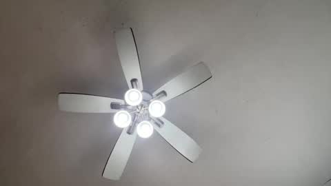 Snapshot of phantomx6xx chatting on February 2025 05:57:02 PM phantomx6xx online show from February 2025 05:57:02 PM