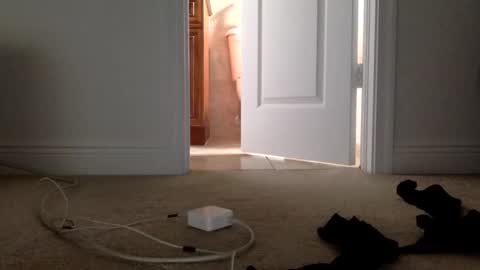 Its always better when its forbidden online show from April 2026 04:48:02 PM