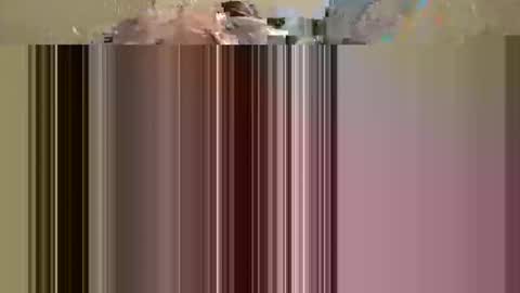 Snapshot of phoenixwap chatting on December 2024 01:30:02 PM phoenixwap online show from December 2024 01:30:02 PM