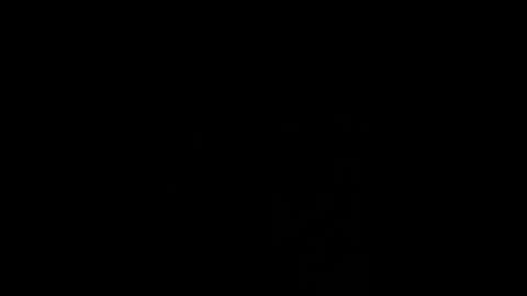 Snapshot of phytomind_31 chatting on April 2026 12:43:01 PM Felix online show from April 2026 12:43:01 PM
