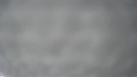 pichard18 online show from December 2024 05:16:02 AM