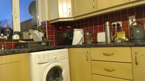 Snapshot of piercedcock069 chatting on January 2026 05:29:02 PM piercedcock069 online show from January 2026 05:29:02 PM