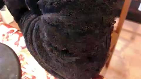 Snapshot of piercedcock069 chatting on January 2026 10:09:02 AM piercedcock069 online show from January 2026 10:09:02 AM