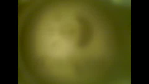 Snapshot of pierrecard1 chatting on October 2025 05:40:01 AM pierrecard1 online show from October 2025 05:40:01 AM