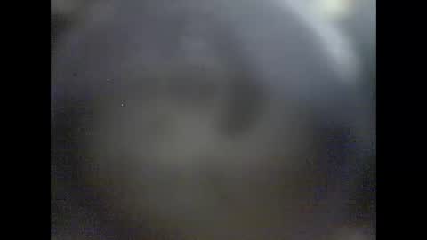 Snapshot of pierrecard1 chatting on January 2026 06:40:01 AM pierrecard1 online show from January 2026 06:40:01 AM