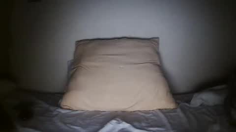 pieslatinos online show from January 2025 04:14:02 AM