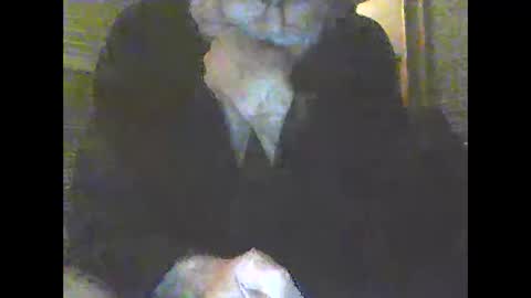 pigbear4trans online show from December 2024 10:15:02 AM