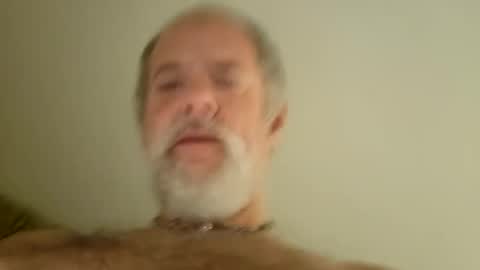 pigbear4trans online show from January 2025 07:04:02 AM