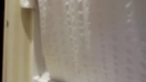 pigbear4trans online show from September 2025 06:51:02 AM