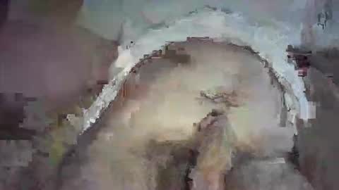 piggyplaypen online show from June 2026 08:36:01 PM