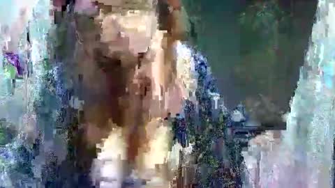 Carol online show from May 2026 03:45:02 AM