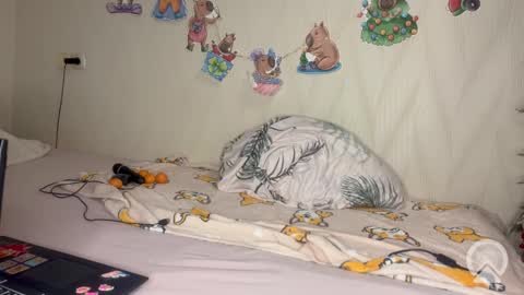 Pikachu pika online show from February 2026 10:06:01 PM