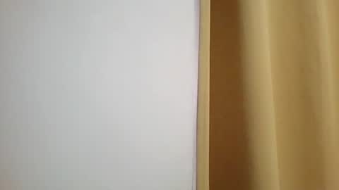 Snapshot of pinkdick_ chatting on February 2025 05:59:01 PM pinkdick online show from February 2025 05:59:01 PM