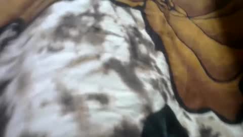 africanah online show from March 2025 11:40:02 AM