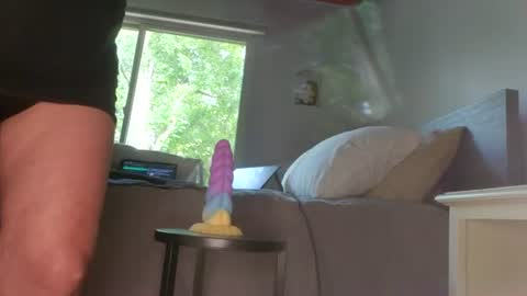 Lacey online show from July 2026 02:32:01 PM