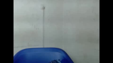 pinkxsugar online show from September 2025 06:13:01 AM