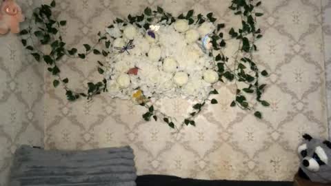 Snapshot of pinochetti chatting on February 2026 12:34:02 PM Incubus online show from February 2026 12:34:02 PM