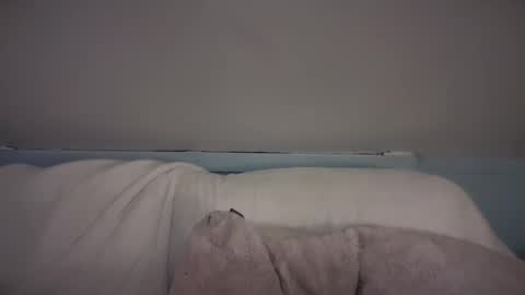 Snapshot of pirdybirdyxo chatting on February 2025 03:42:02 AM pirdybirdyxo online show from February 2025 03:42:02 AM