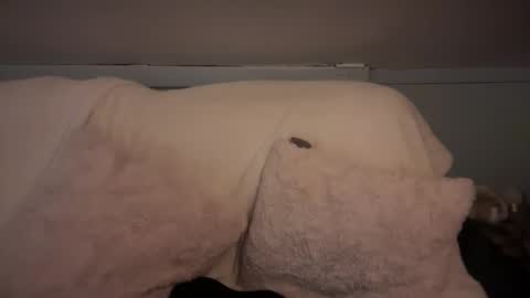 Snapshot of pirdybirdyxo chatting on March 2025 06:37:02 AM pirdybirdyxo online show from March 2025 06:37:02 AM