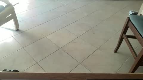 pisellone_xxl online show from September 2025 01:01:01 PM