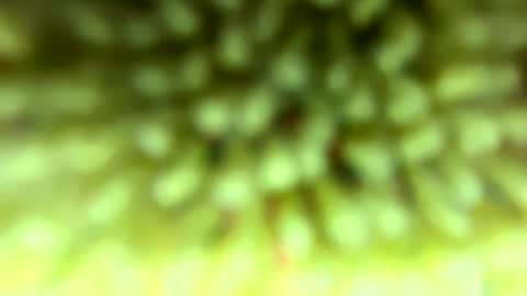 Mike online show from February 2026 09:09:02 PM