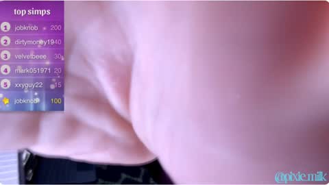 Snapshot of pixie_milk chatting on February 2025 01:52:02 AM jae online show from February 2025 01:52:02 AM