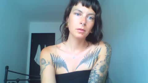 Snapshot of pixiecatfairy chatting on September 2025 09:44:02 AM pixiecatfairy online show from September 2025 09:44:02 AM