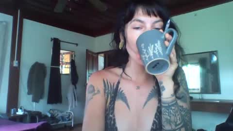 Snapshot of pixiecatfairy chatting on November 2025 02:21:01 AM pixiecatfairy online show from November 2025 02:21:01 AM