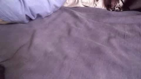 platoniclov online show from November 2025 05:50:01 AM