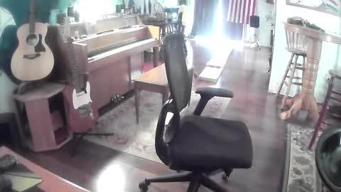 playerpleasure online show from May 2026 05:54:01 PM