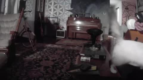 playerpleasure online show from July 2026 09:07:02 AM