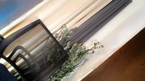 Snapshot of playfulcock69_kate chatting on March 2026 05:01:02 AM kate online show from March 2026 05:01:02 AM