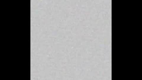 playtoy1969 online show from February 2025 12:06:02 PM