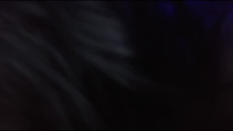 Snapshot of playwithstrayy chatting on December 2025 09:29:02 AM playwithstrayy online show from December 2025 09:29:02 AM