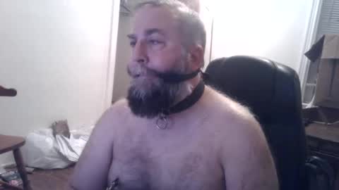 Snapshot of pleasurepuppt chatting on December 2024 01:52:02 AM pleasurepuppt online show from December 2024 01:52:02 AM