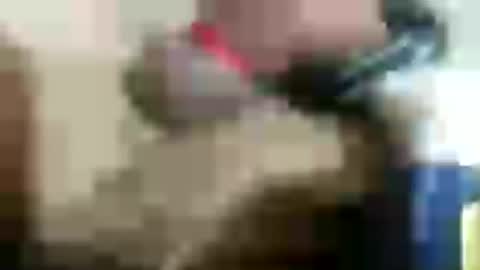 Snapshot of plug768785628 chatting on July 2026 03:38:01 PM plug768785628 online show from July 2026 03:38:01 PM