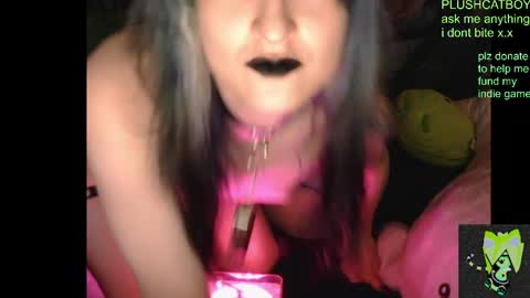 Snapshot of plushcatboy chatting on April 2026 04:24:02 AM plushcatboy online show from April 2026 04:24:02 AM